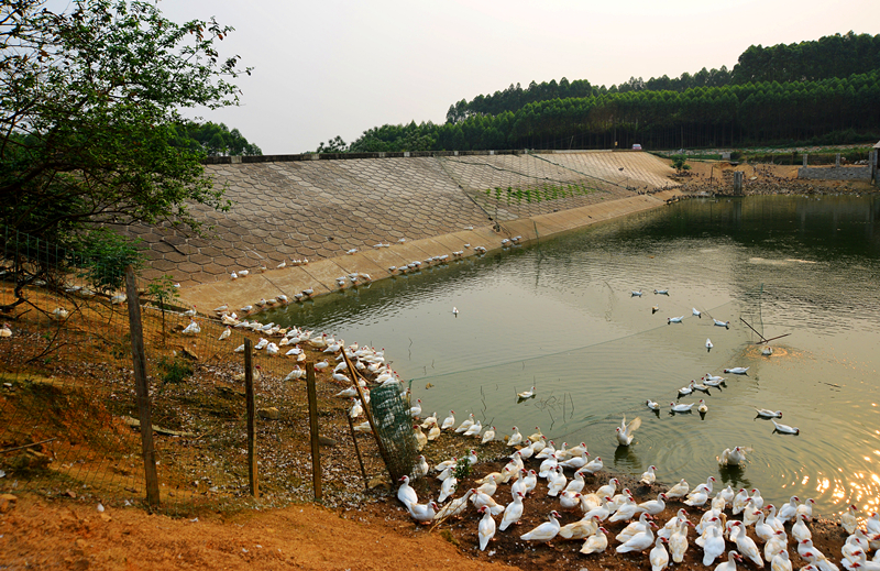 ��ʱ|AG(AsiaGaming)������Ӫ��