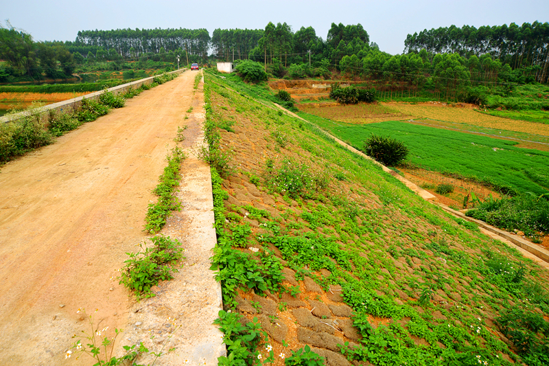 ��ʱ|AG(AsiaGaming)������Ӫ��