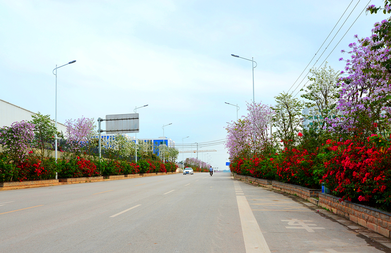 ��ʱ|AG(AsiaGaming)������Ӫ��