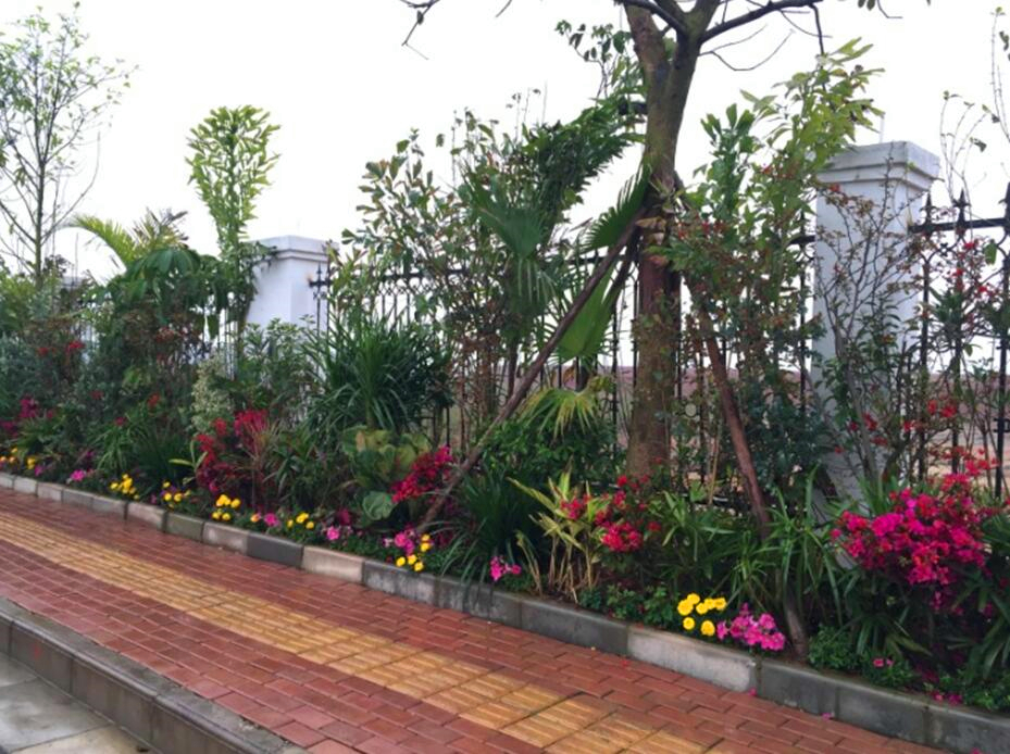 ��ʱ|AG(AsiaGaming)������Ӫ��