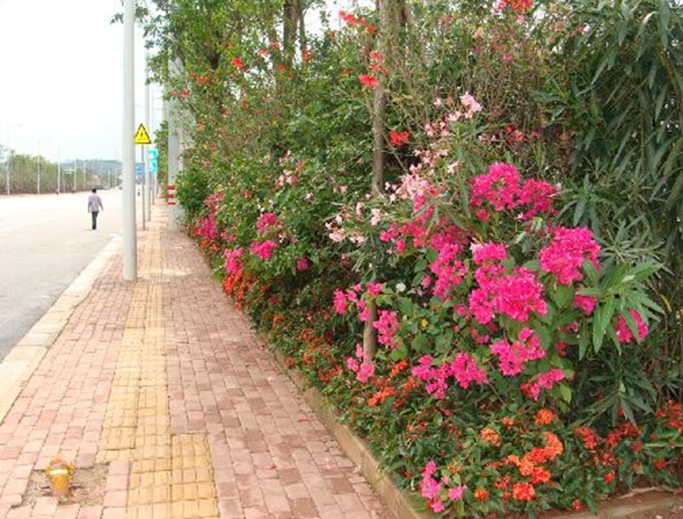 ��ʱ|AG(AsiaGaming)������Ӫ��