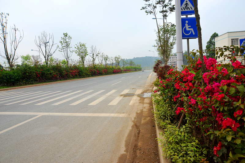 ��ʱ|AG(AsiaGaming)������Ӫ��