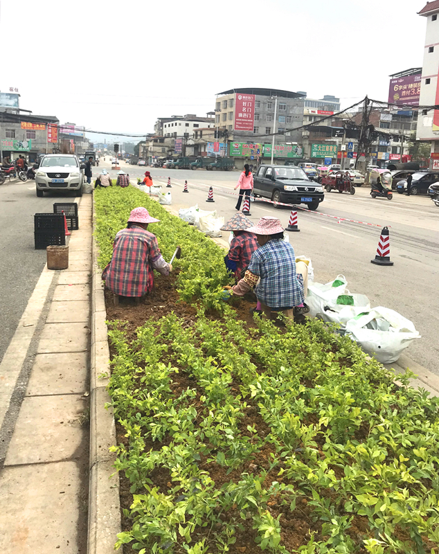 ��ʱ|AG(AsiaGaming)������Ӫ��