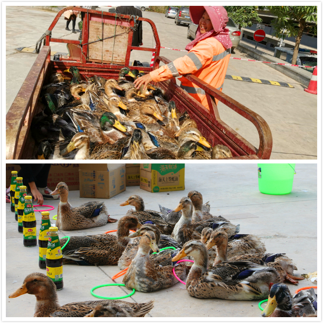 ��ʱ|AG(AsiaGaming)������Ӫ��