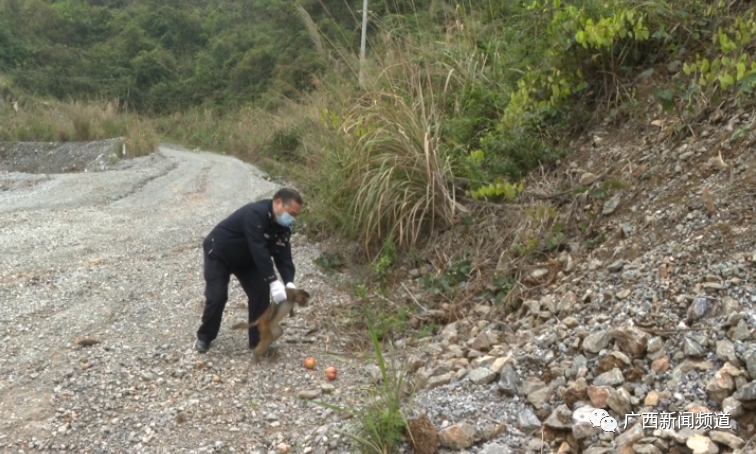 ��ʱ|AG(AsiaGaming)������Ӫ��