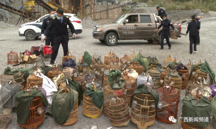 ��ʱ|AG(AsiaGaming)������Ӫ��