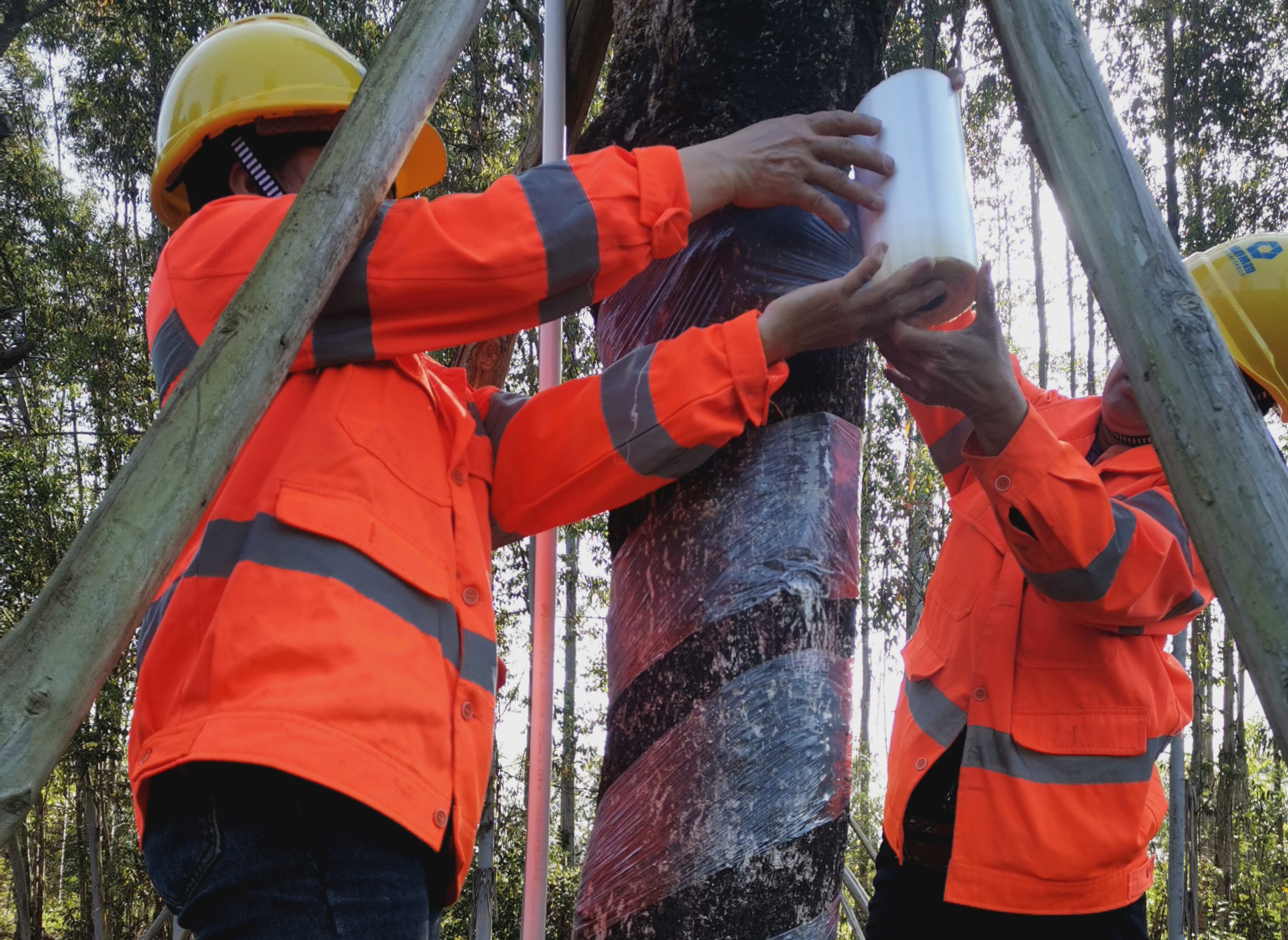 ��ʱ|AG(AsiaGaming)������Ӫ��